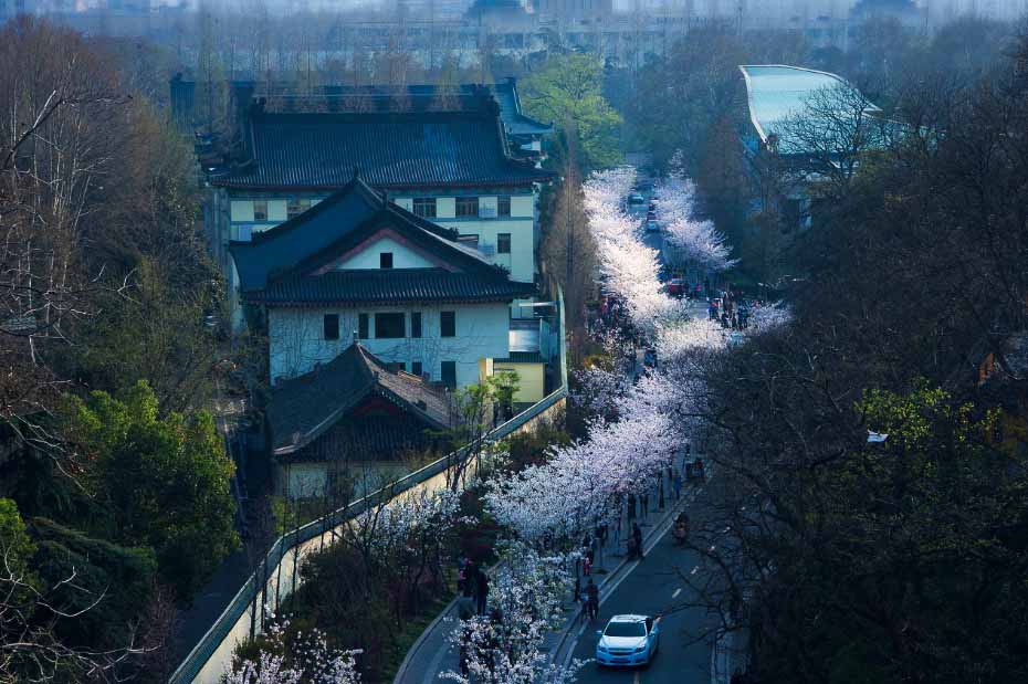 Spring in China